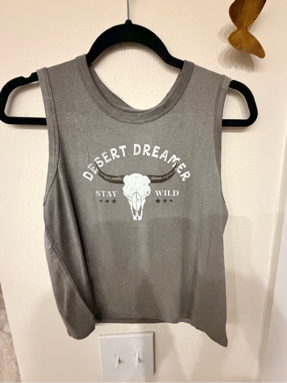 Desert Dreamer Sleeveless Graphic Tank - Gray